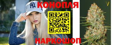 таблы Славгород