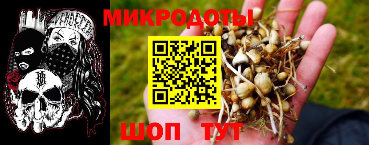 Псилоцибиновые грибы ЛСД Новодвинск